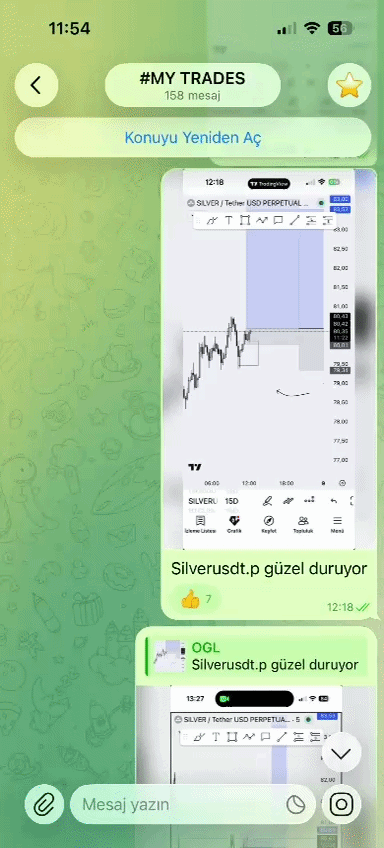 Wyckoff Şeffaflık Kanıtı